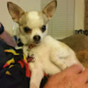 Meet your Posher, Tammy